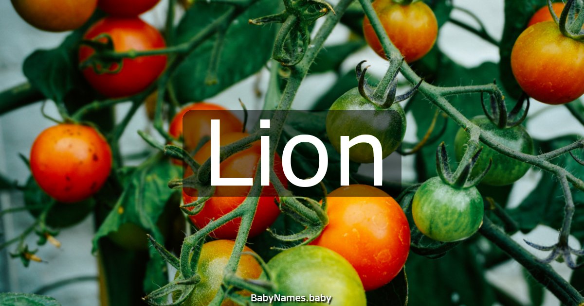 Lion