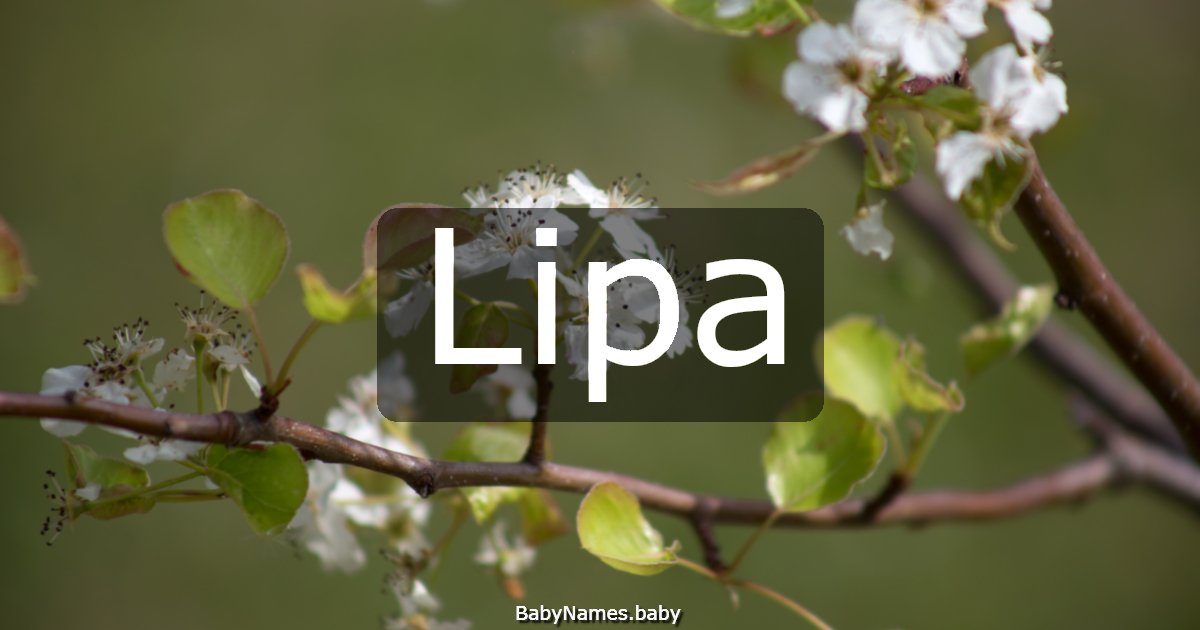 Lipa