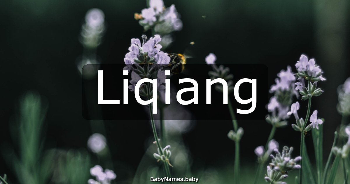 Liqiang