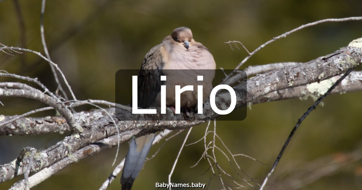 Lirio