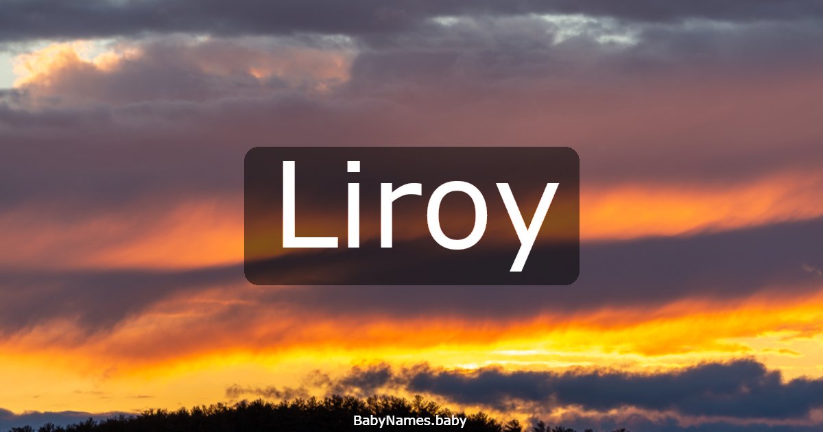 Liroy