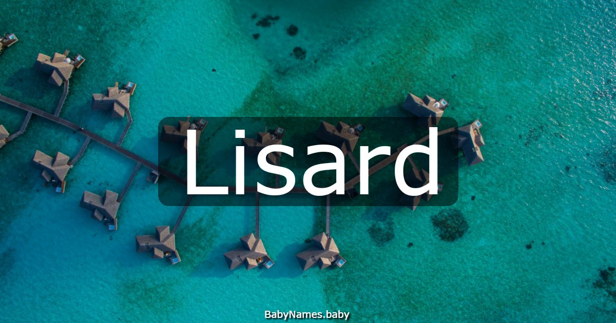 Lisard