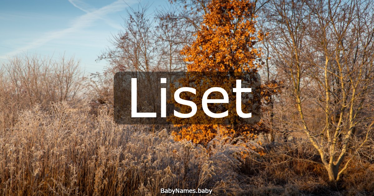 Liset