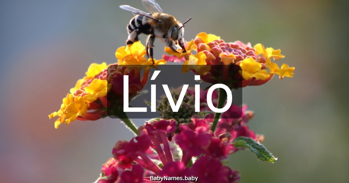 Lívio