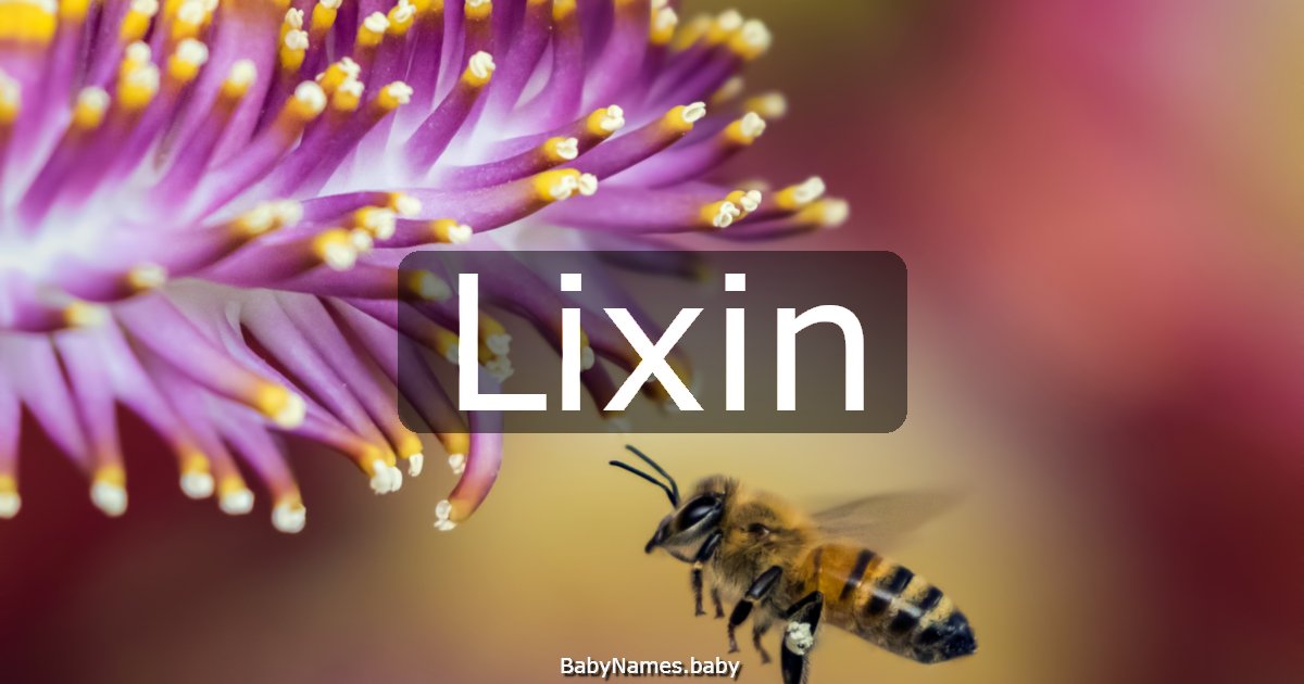 Lixin