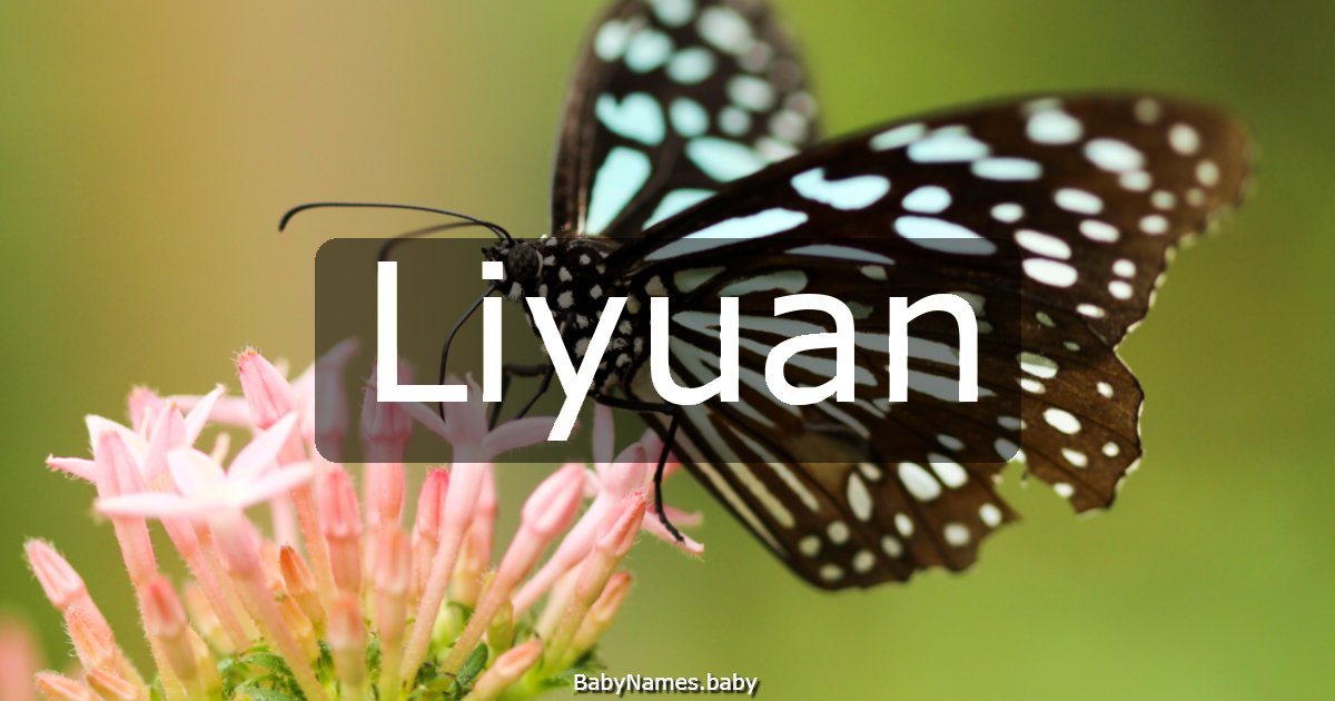 Liyuan