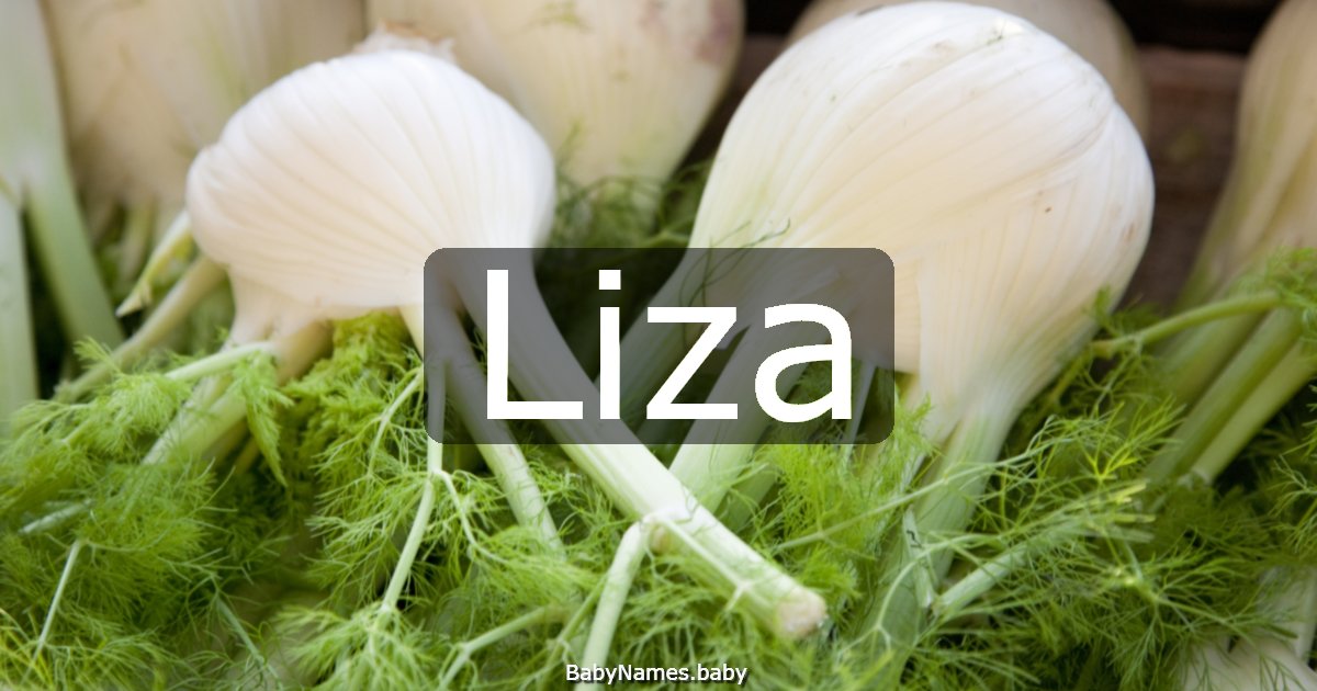 Liza