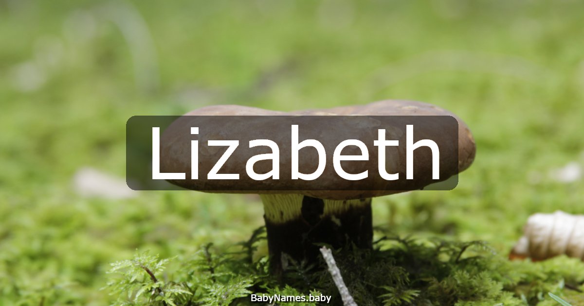 Lizabeth