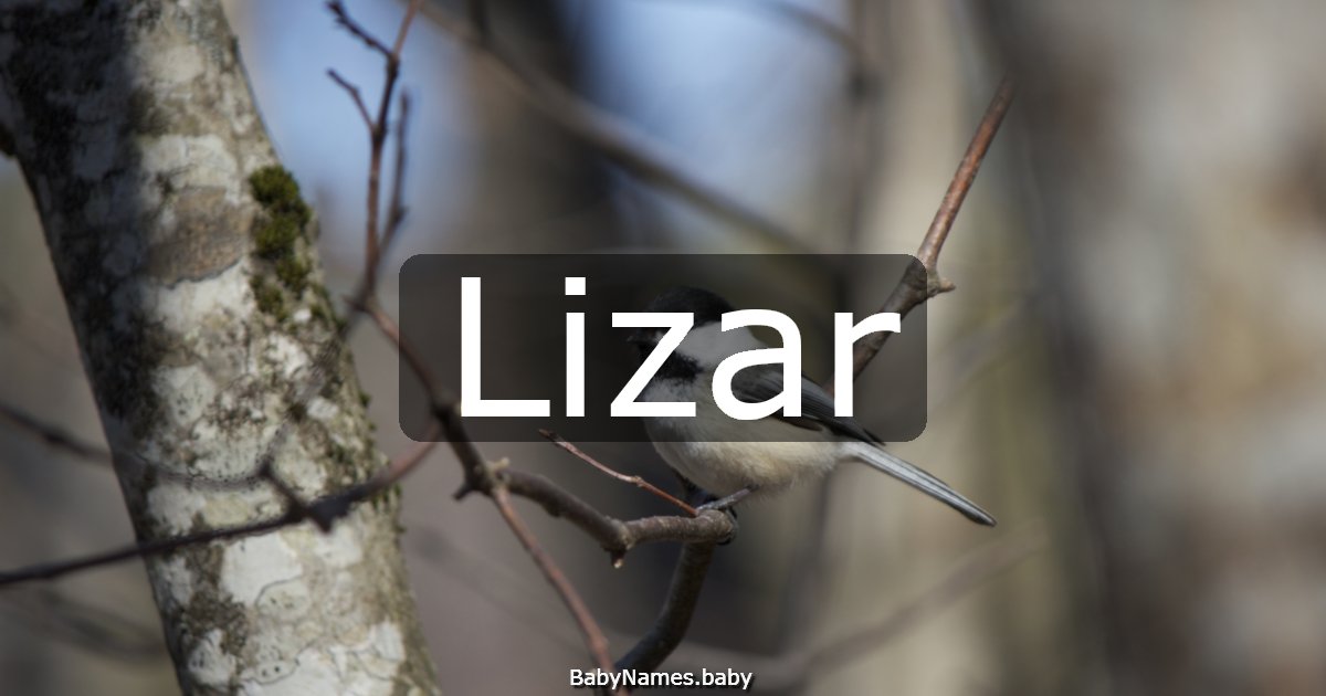 Lizar