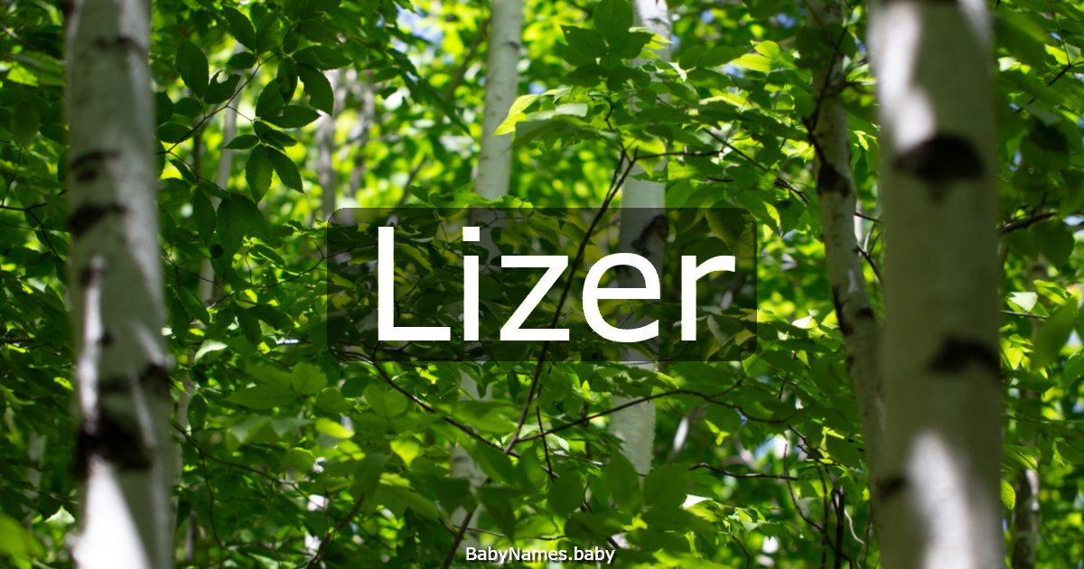Lizer