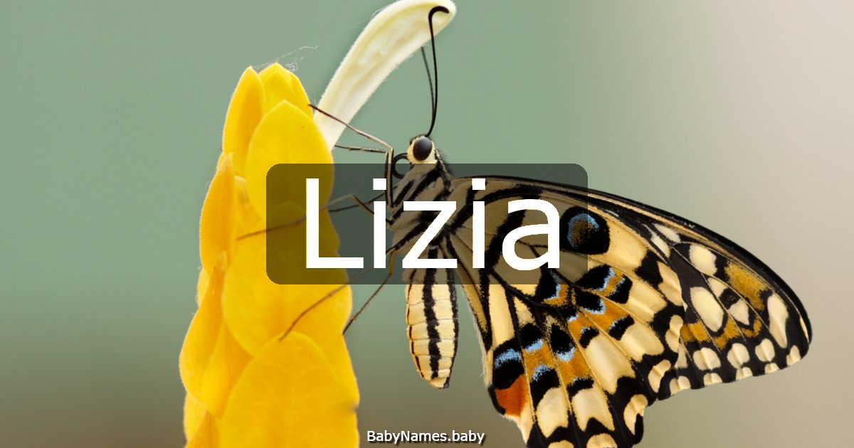 Lizia