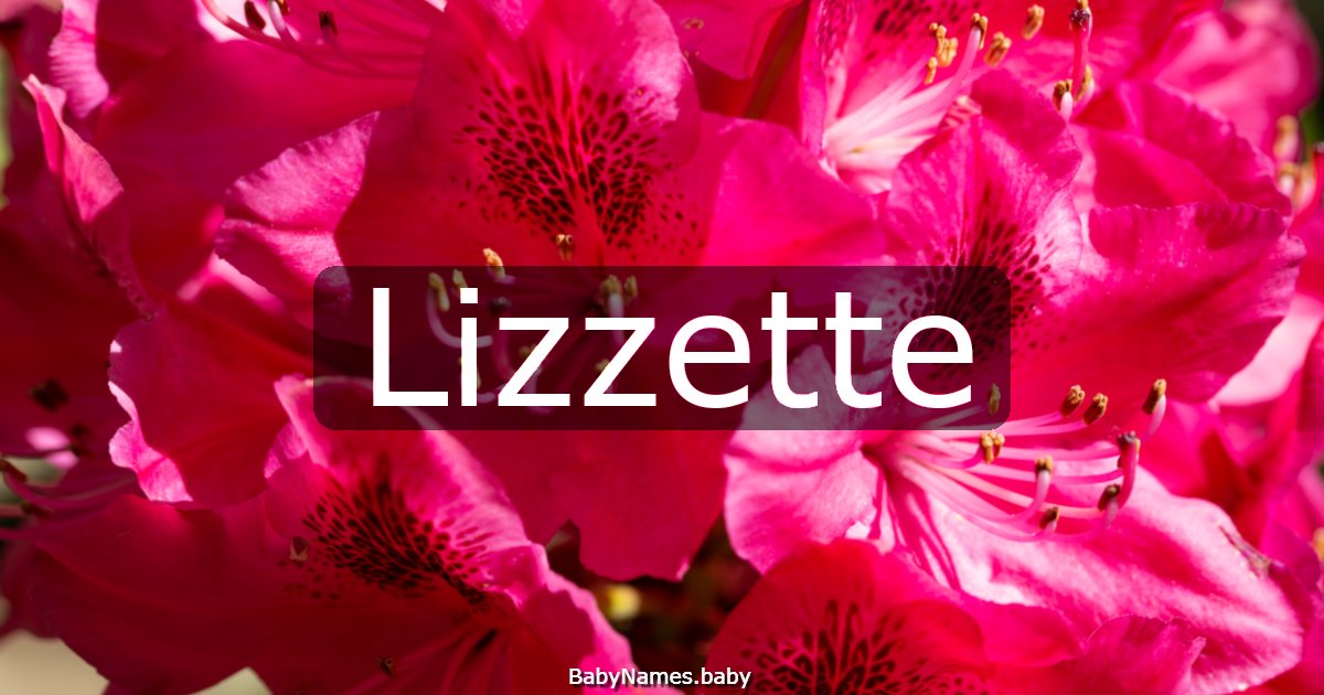Lizzette