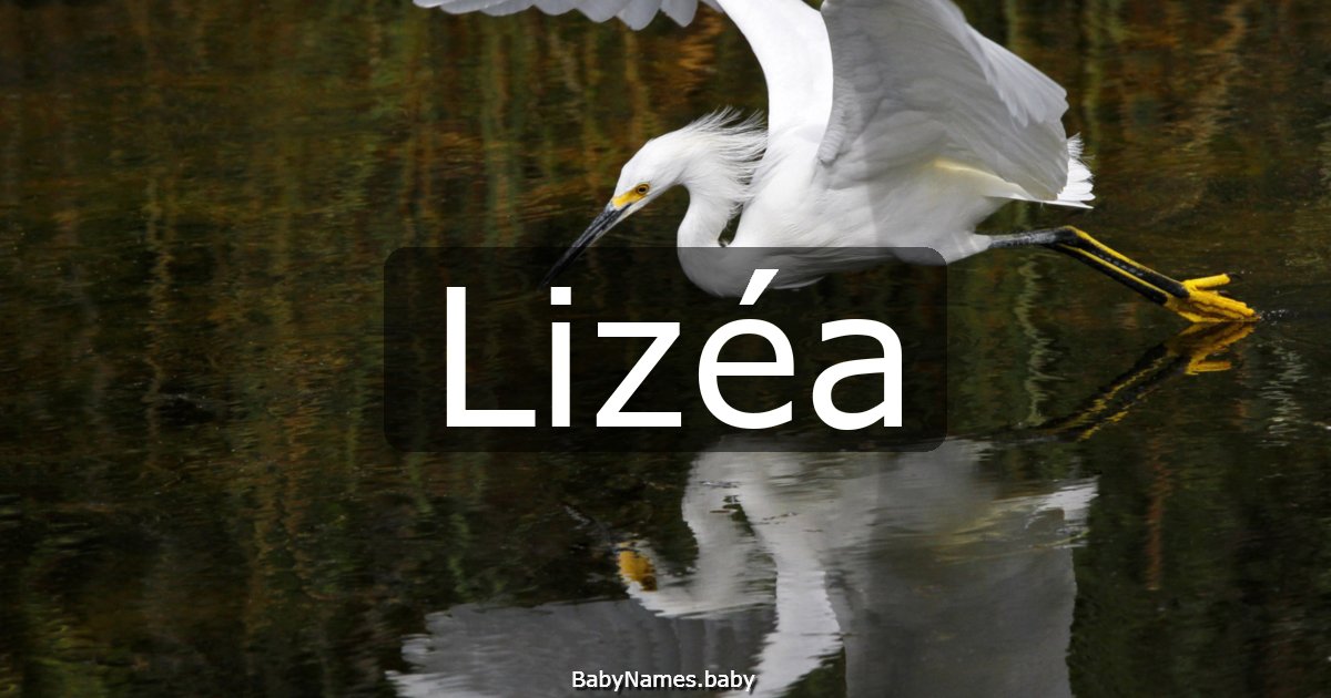 Lizéa