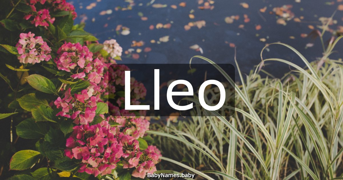 Lleo