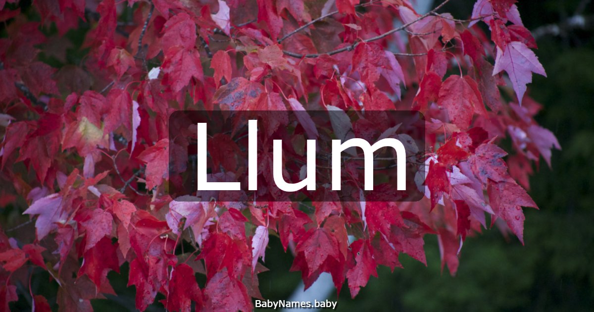 Llum