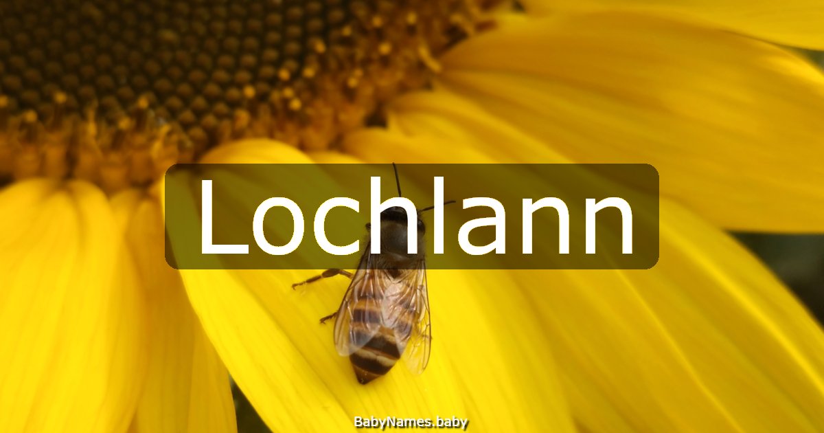 Lochlann