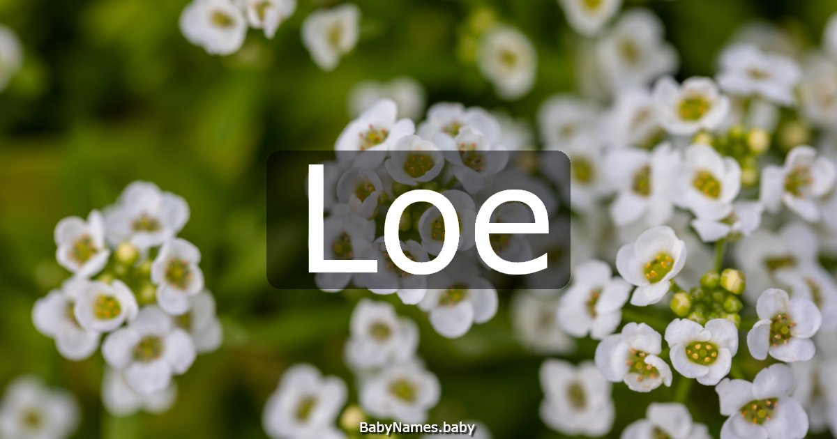 Loe
