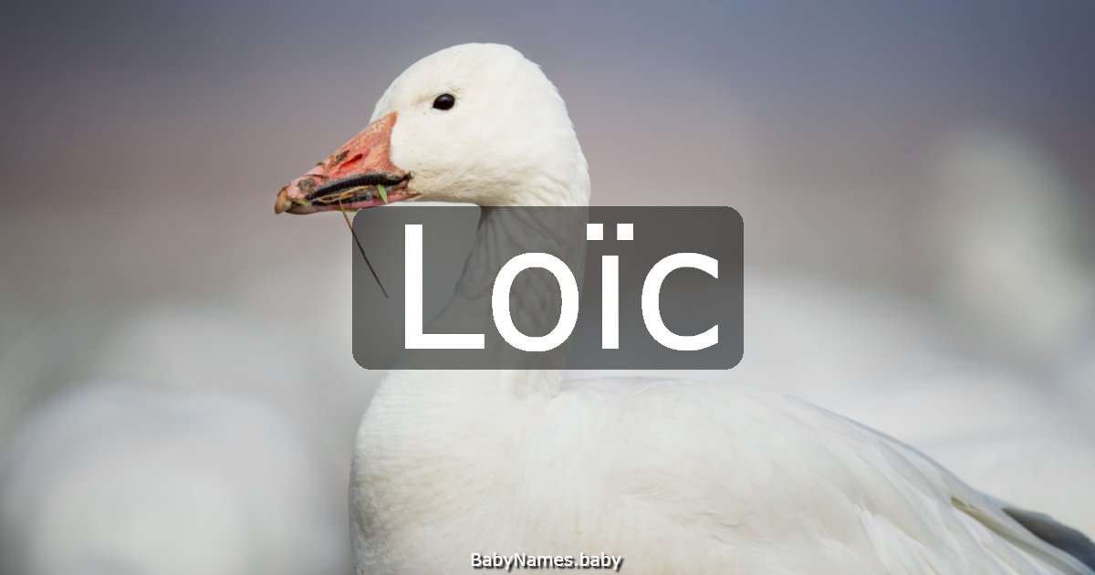 Loïc