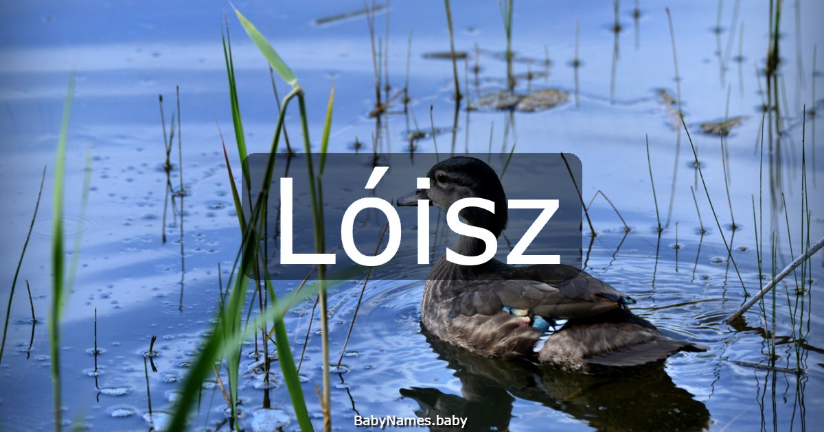 Lóisz