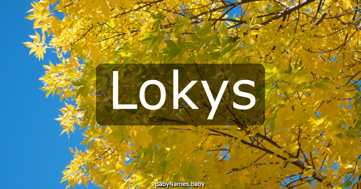 Lokys