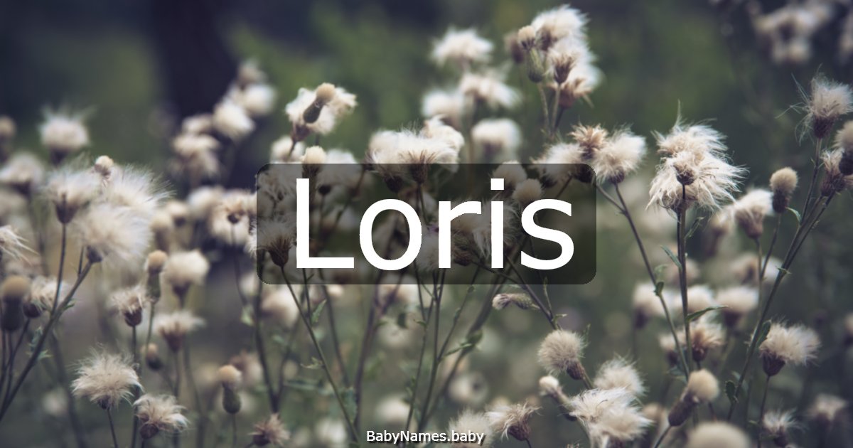 Loris