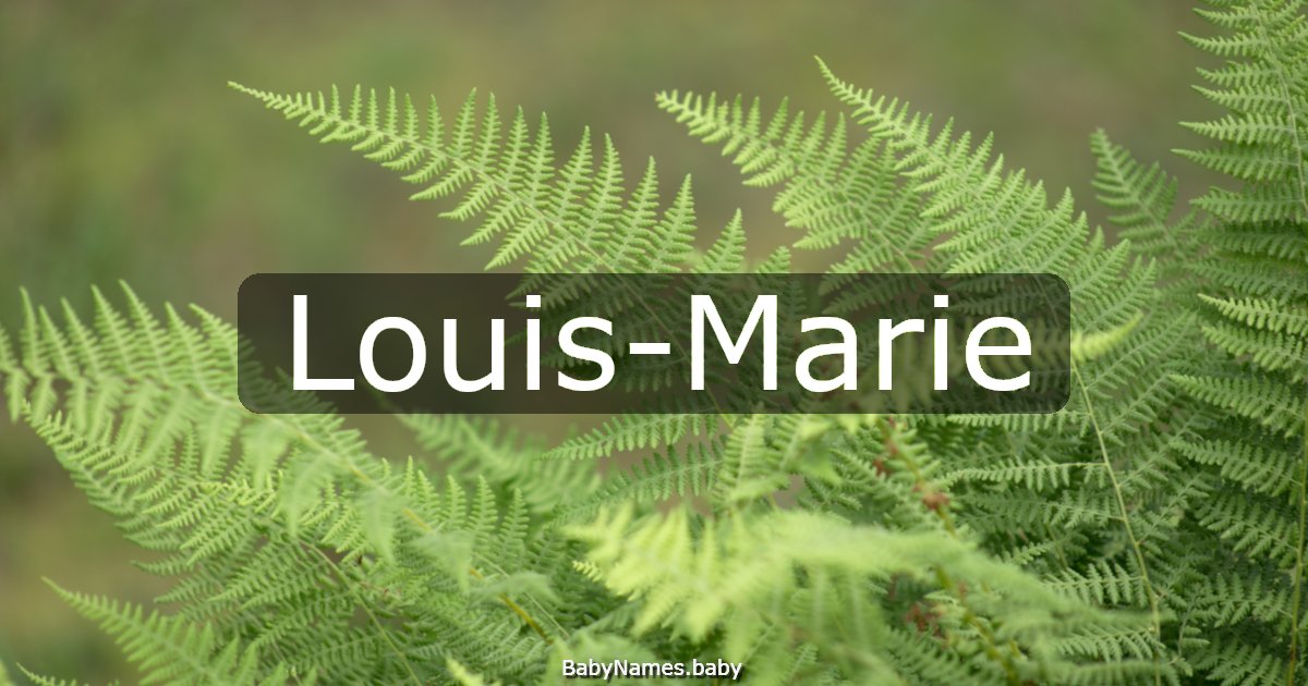 Louis-Marie