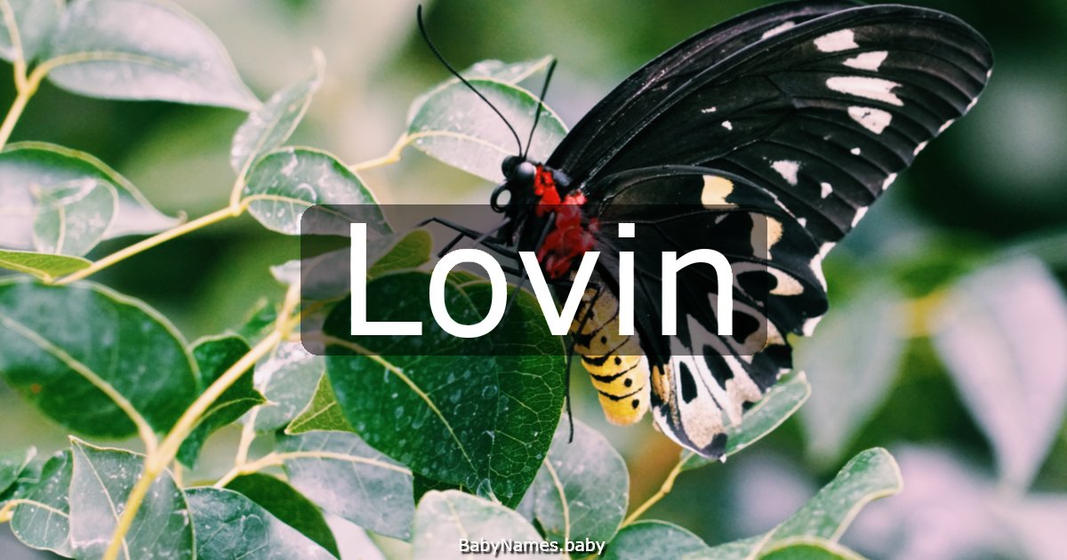 Lovin