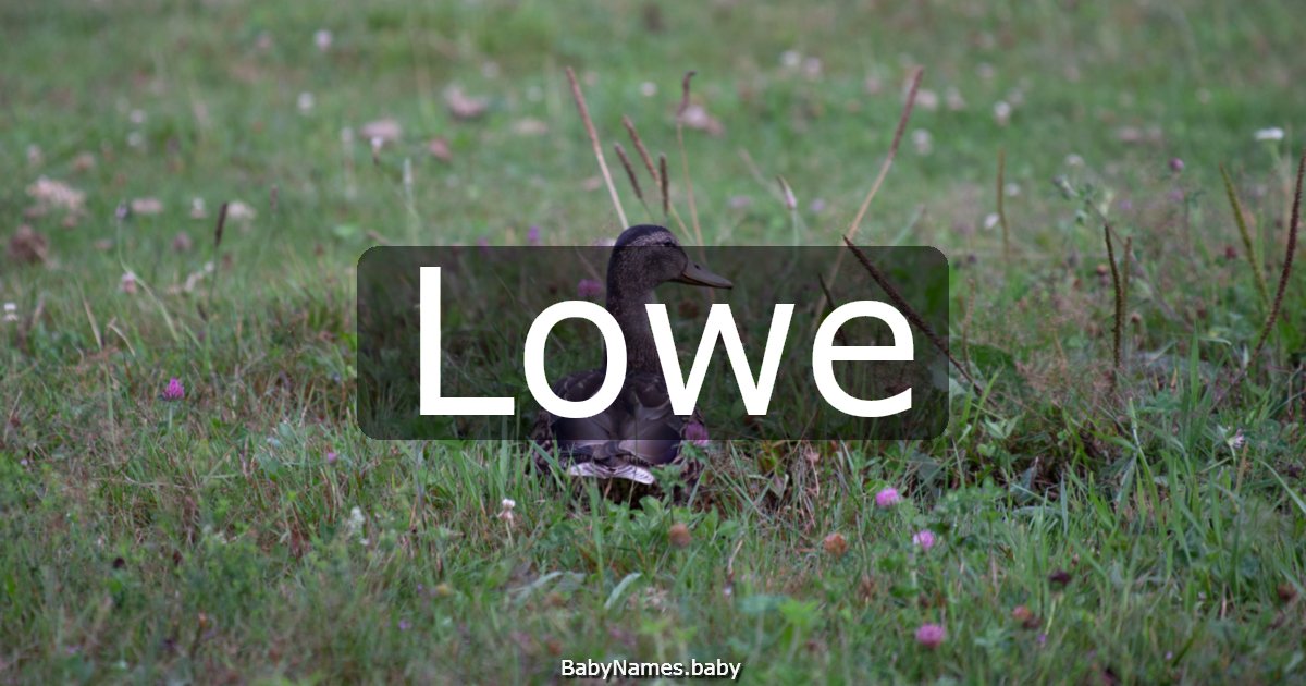 Lowe