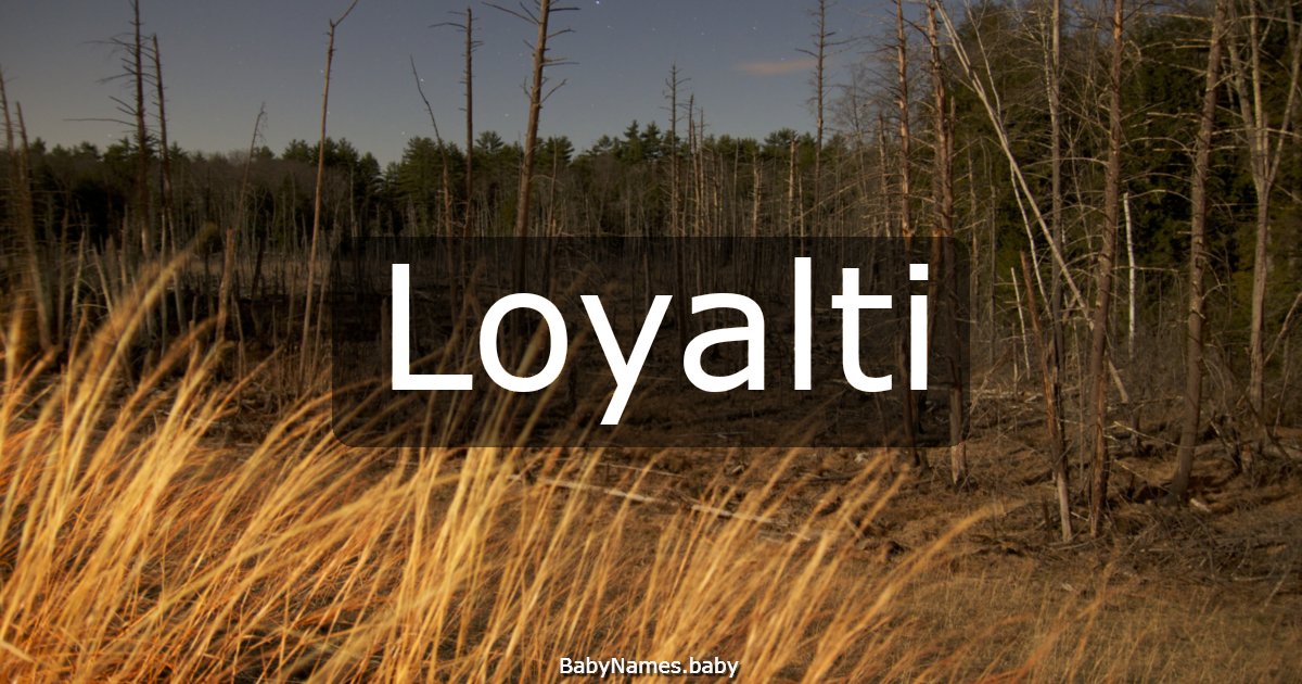 Loyalti
