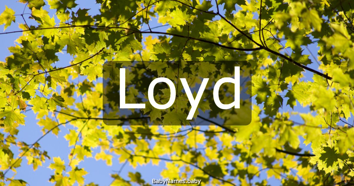 Loyd