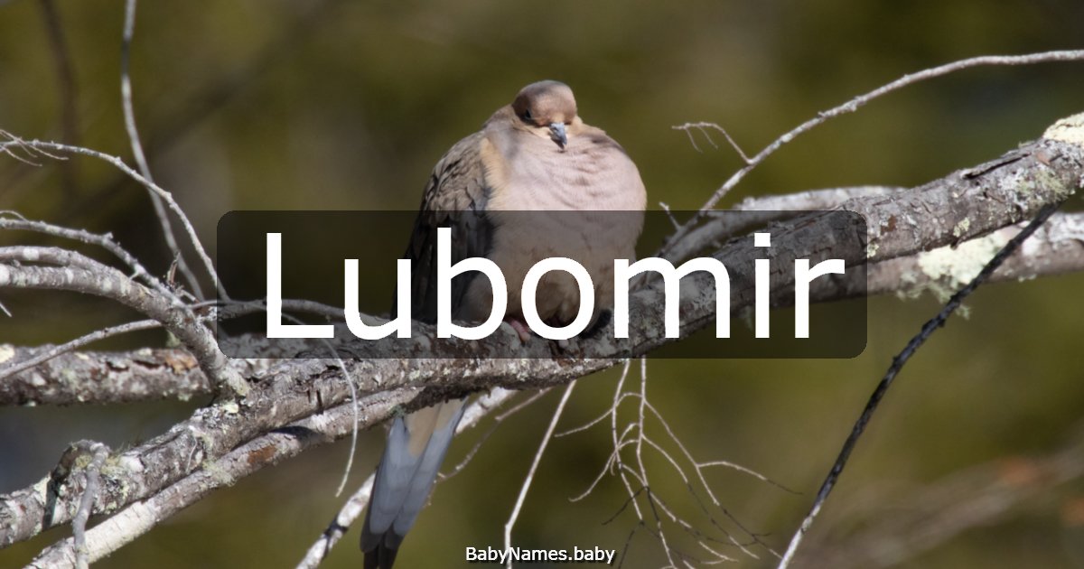 Lubomir