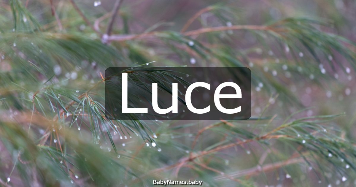 Luce