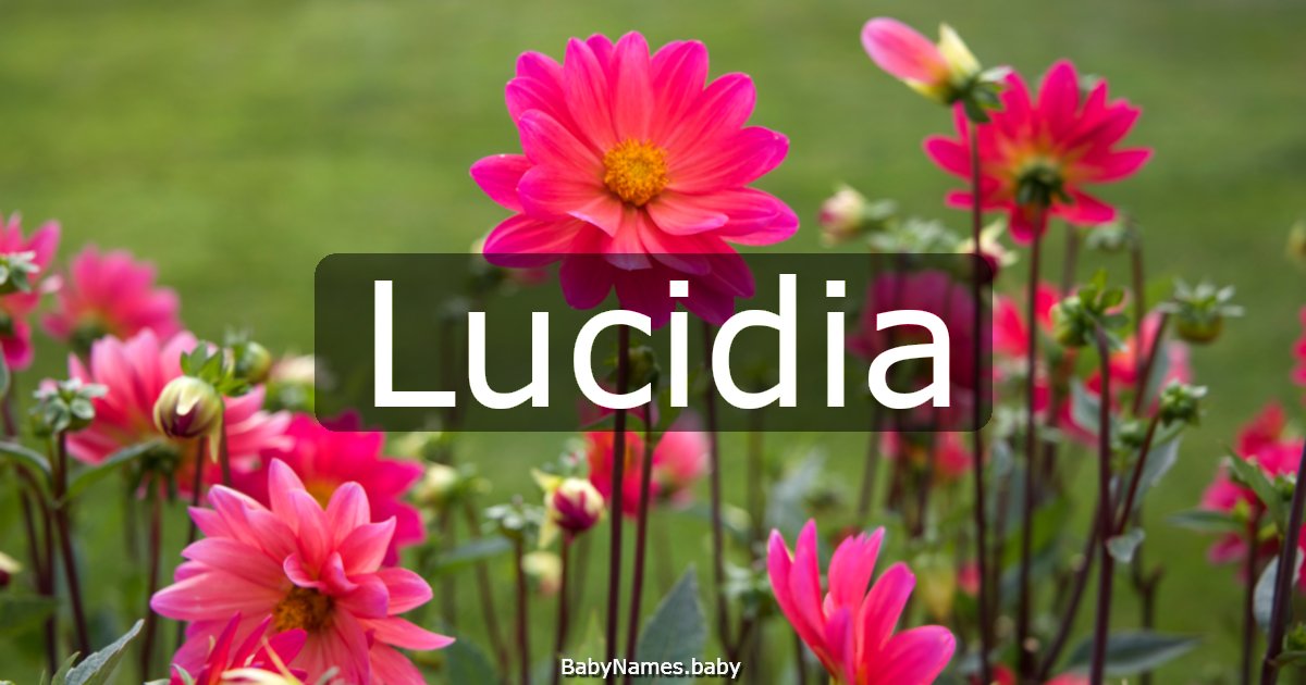Lucidia