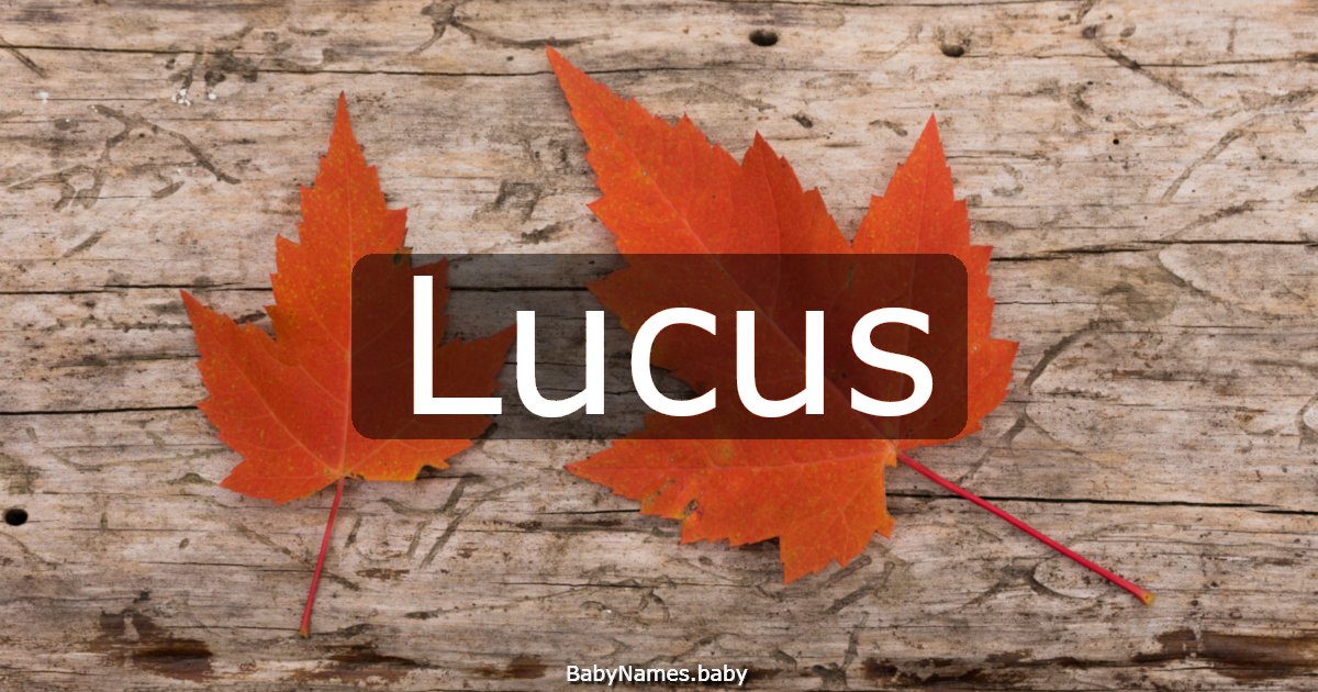 Lucus