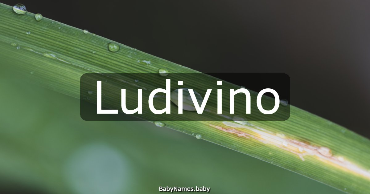 Ludivino