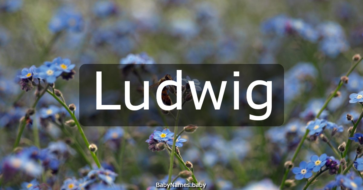 Ludwig