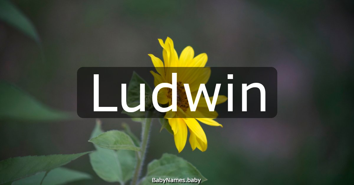 Ludwin