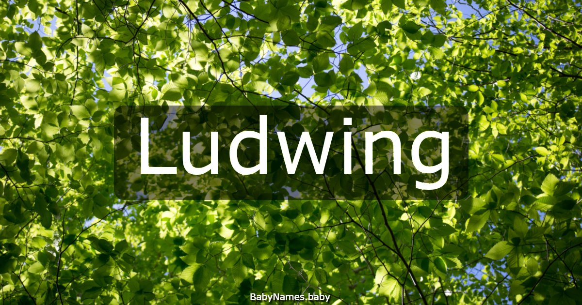 Ludwing