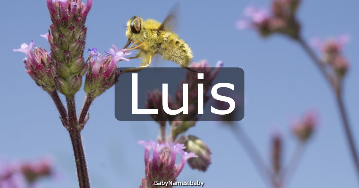 Luis