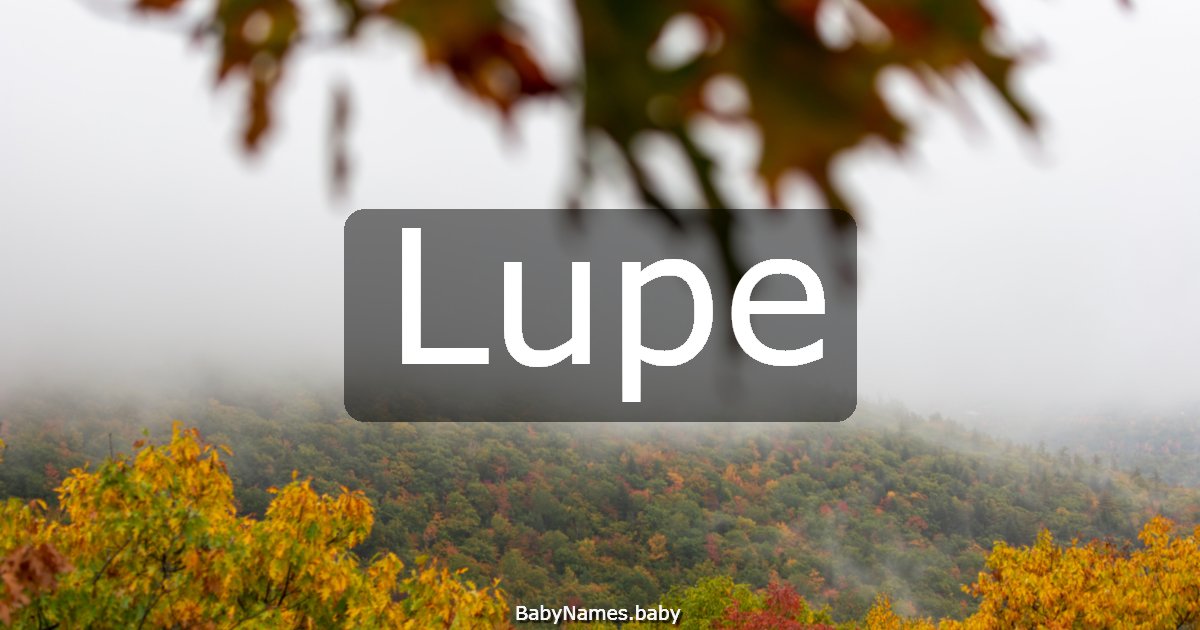 Lupe