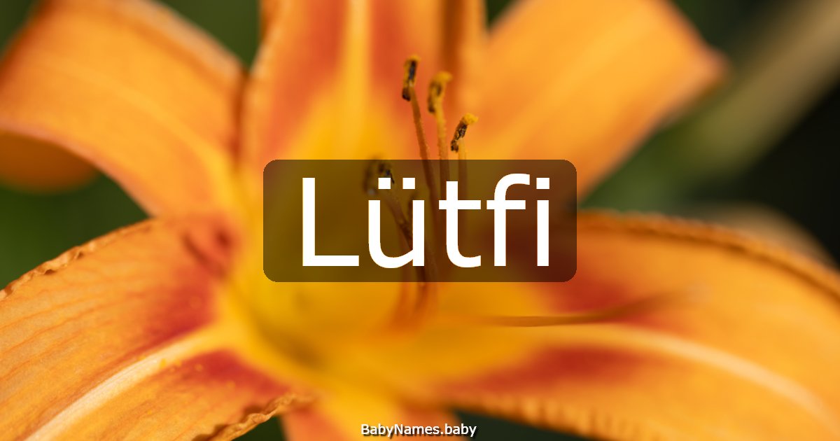 Lütfi
