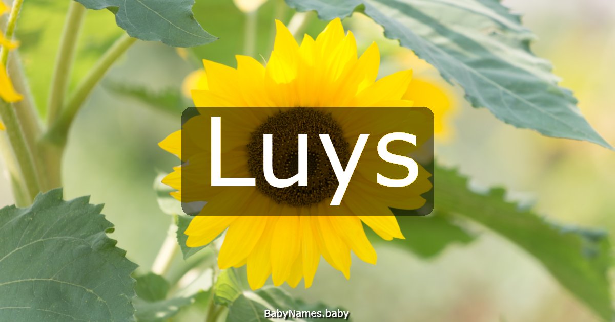 Luys