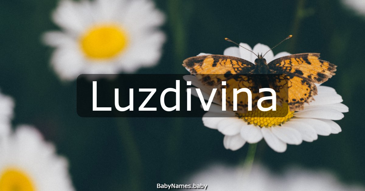 Luzdivina