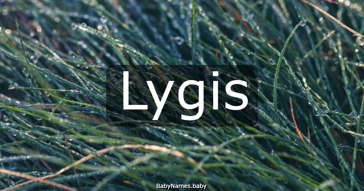 Lygis