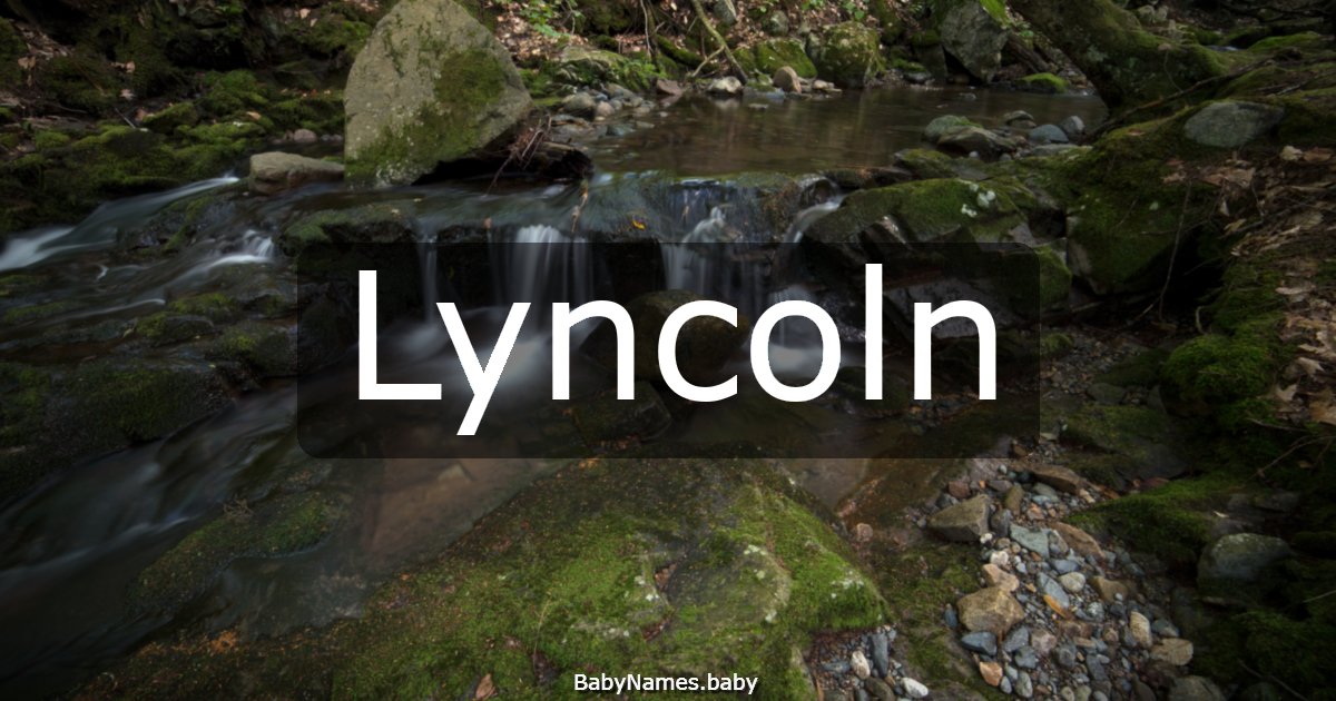 Lyncoln