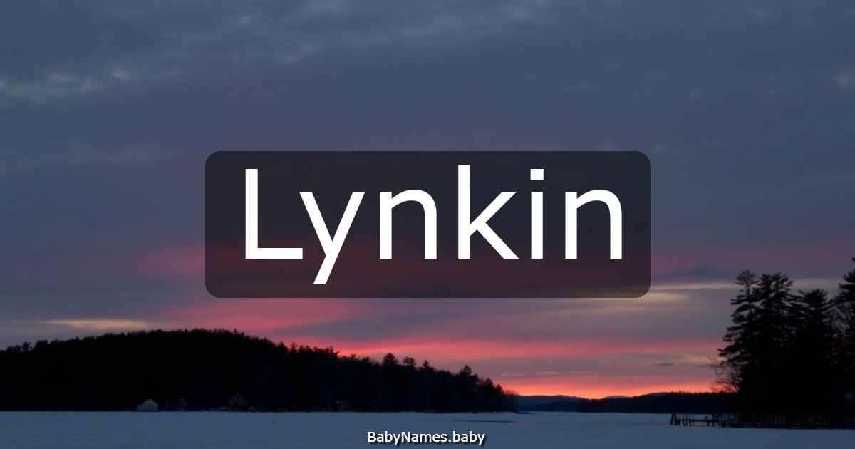 Lynkin