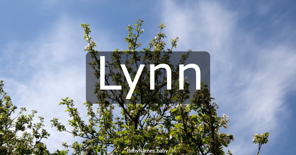 Lynn