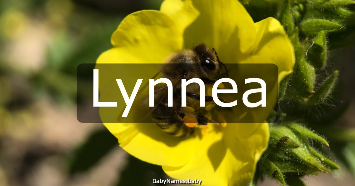 Lynnea