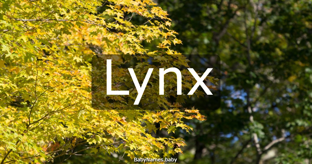 Lynx