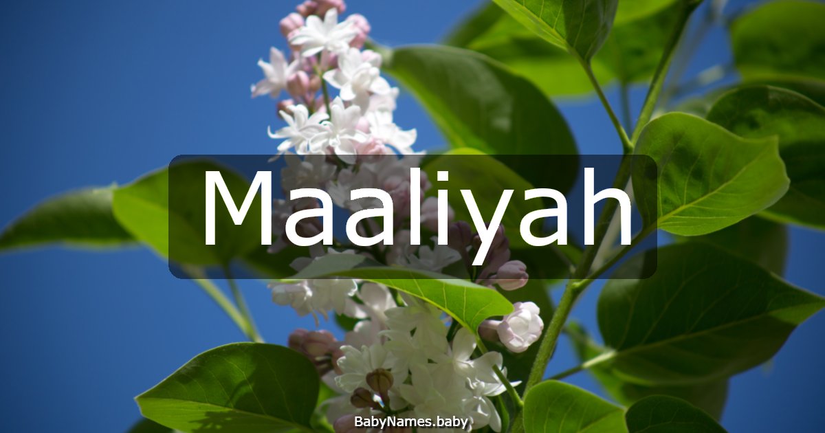 Maaliyah